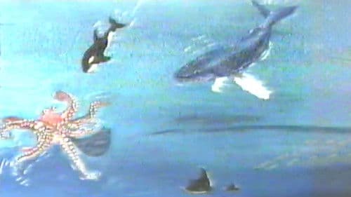 Hampie - ein kleiner Wal entdeckt seine Welt Bild 1