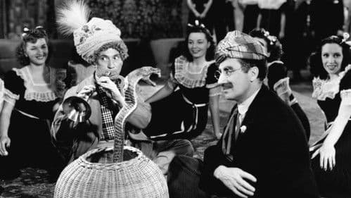 Die Marx Brothers im Kaufhaus Bild 5