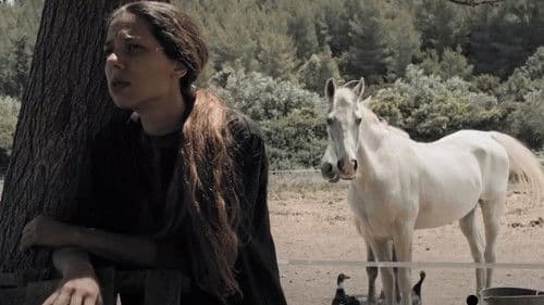 Θολή Γραμμή Bild 6