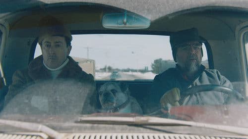 Drive Back Home Bild 1