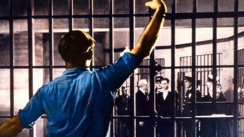 Strange Justice Bild 1