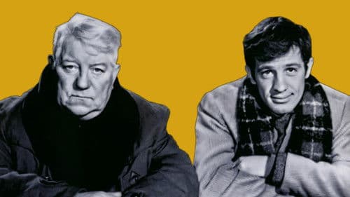 Ein Affe im Winter Bild 3