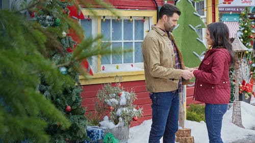 Ein Weihnachtsbaum ist nicht genug Bild 8