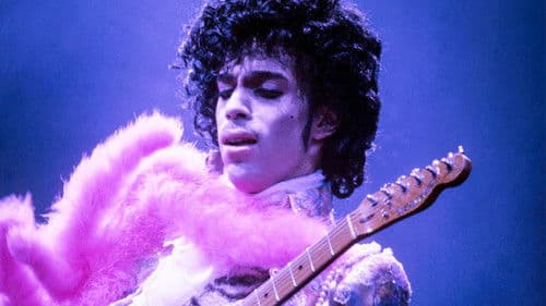 Prince: A Purple Reign Bild 1