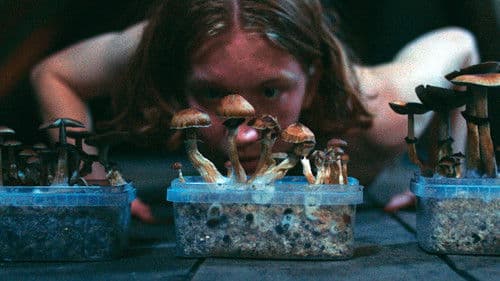 Det Store Glitch / Paradisets Børn Bild 1