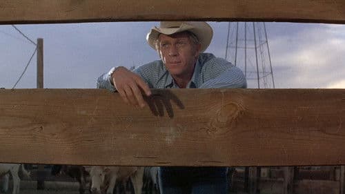 Junior Bonner Bild 2