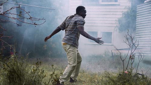 All These Creatures Bild 3