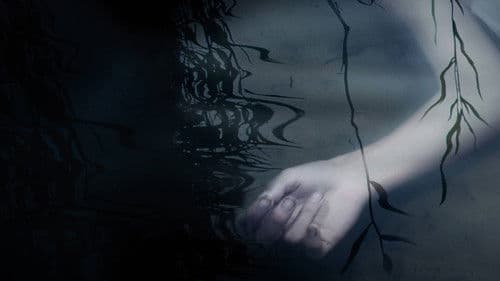 Murder in the Bayou Bild 1