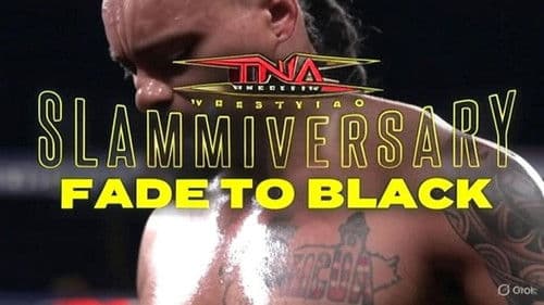 TNA Slammiversary: Fade to Black Bild 1