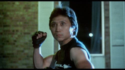 American Streetfighter Bild 5