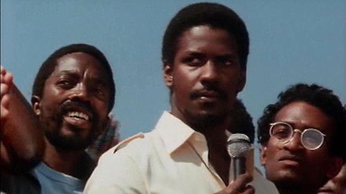 Schrei nach Freiheit Bild 2