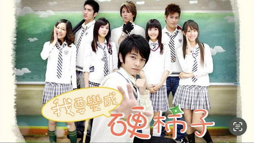 我要變成硬柿子 Bild 1