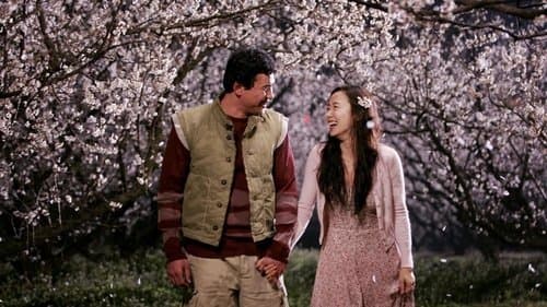 너는 내 운명 Bild 1