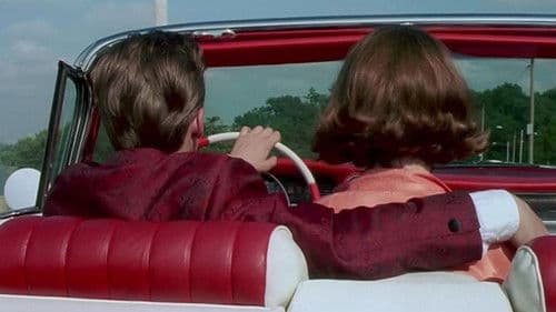 American Dreamer - Charmante Lügner Bild 2