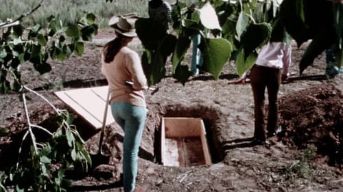 Des Satans heiße Katzen Bild 6