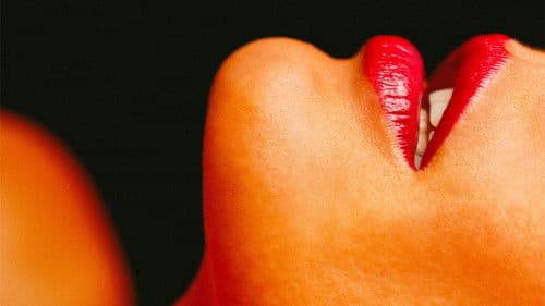 La Maison - Haus der Lust Bild 2