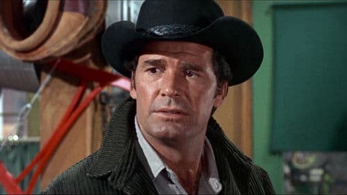 Auch ein Sheriff braucht mal Hilfe Bild 6