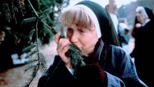 The Christmas Tree Bild 1