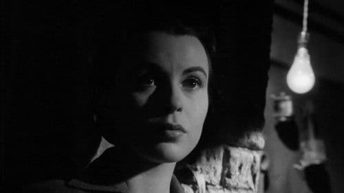 Gefährlicher Urlaub Bild 5