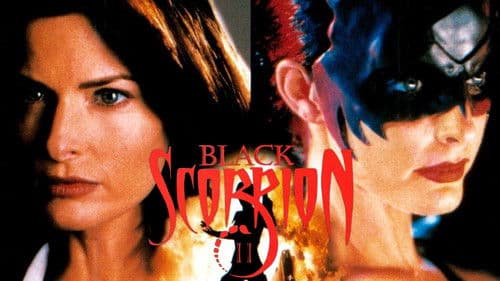 Black Scorpion II: Street Combat Bild 3