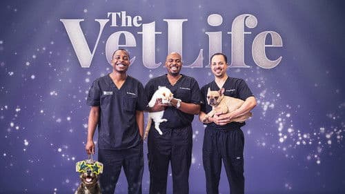 Die Tierärzte von Houston Bild 6