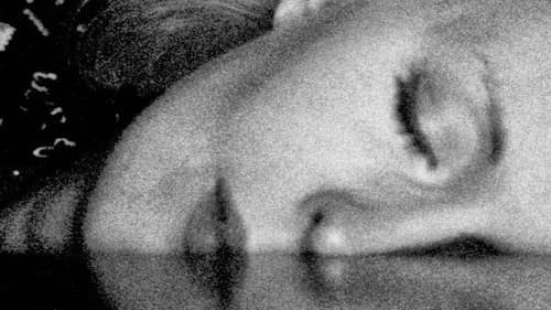 Les Hautes solitudes Bild 5