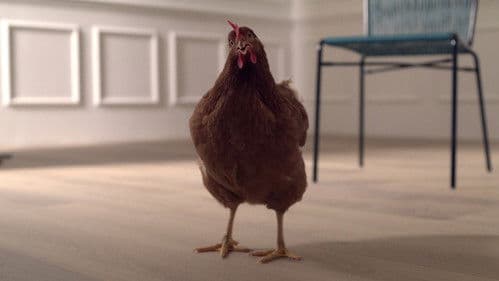 L’occhio della Gallina Bild 1