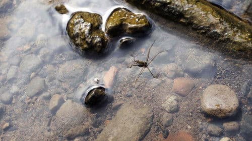 Empty Feet & Fireflies Bild 2