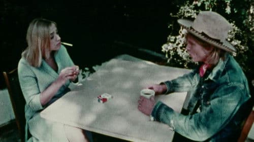 Hollywood Cowboy Bild 4