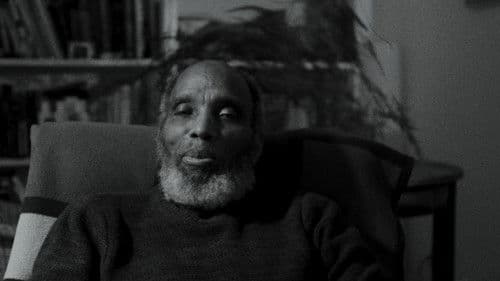 American Monochrome Bild 6