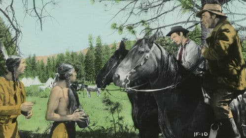 Zwischen zwei Feuern Bild 3