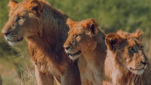 Deadly Hunters Bild 1