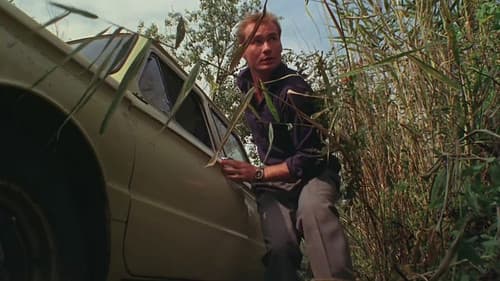 Америкэн Бой Bild 1