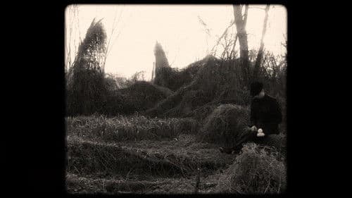 Quiéreme Mucho Bild 1