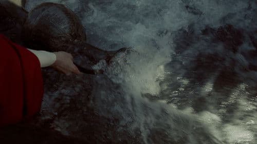 Даха, илли, даха! Bild 3