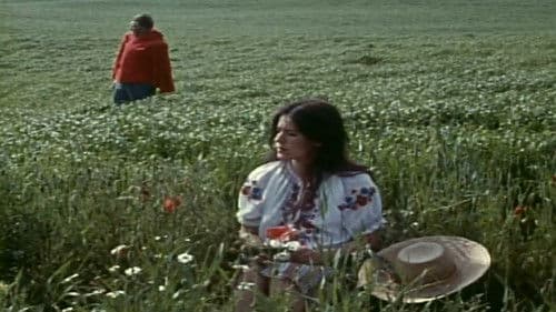 Skarpretteren Bild 1