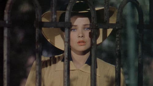 Rache für Jesse James Bild 6