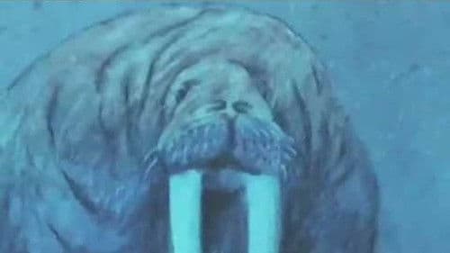 Le Fleuve aux grandes eaux Bild 1