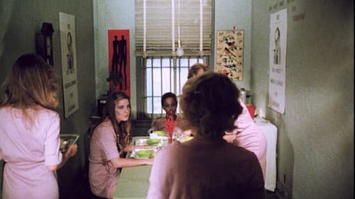 6 Schwedinnen hinter Gittern Bild 3