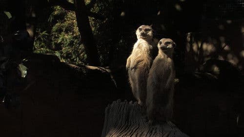 O lugar que ocupas Bild 1