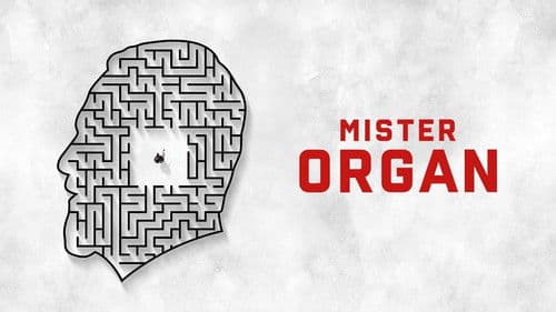 Mister Organ Bild 5