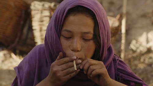 Wolf and Sheep Bild 1