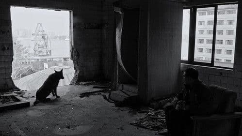 伤寒杂病论 Bild 4