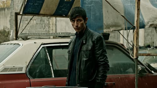 Ölü Köpekler Isırmaz Bild 3