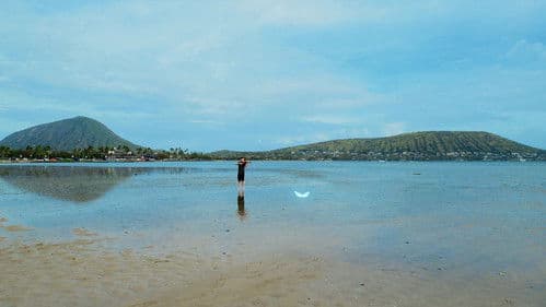 하와이 연가 Bild 3