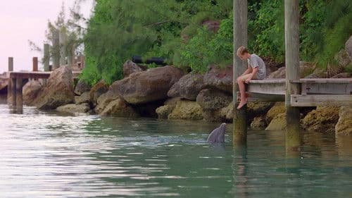 Echo der Delphin Bild 1