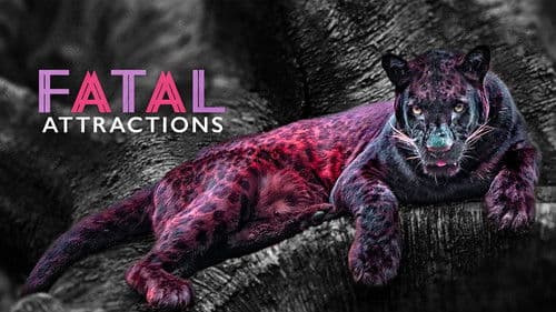 Fatal Attractions Bild 2