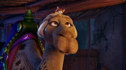 Bo und der Weihnachtsstern Bild 6