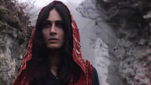 چریکه‌ی تارا Bild 2