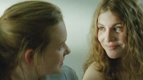 Little Black Spiders Bild 2